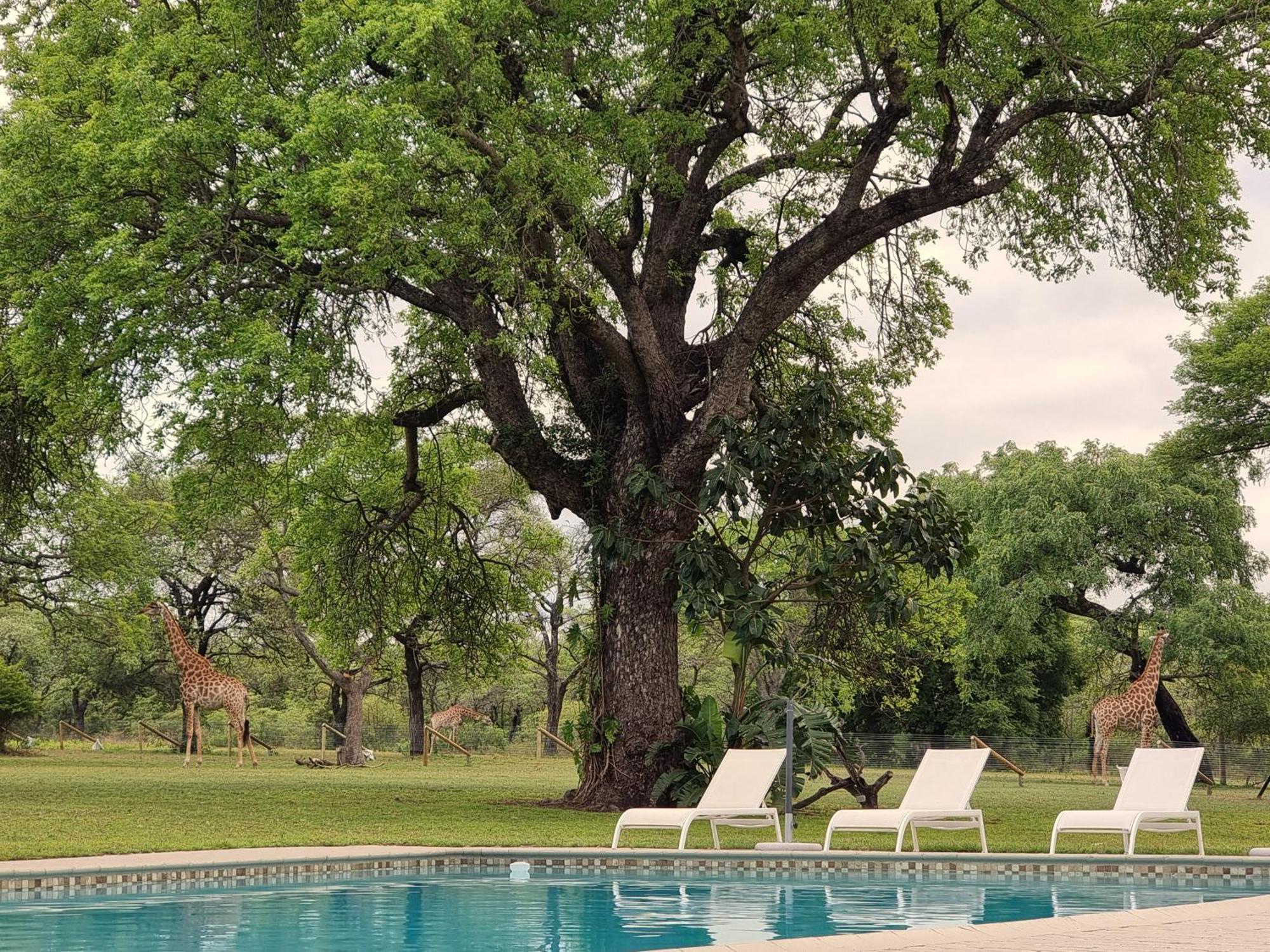 Unyati Safari Lodge Hectorspruit Exterior foto